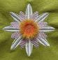 Preview: Stickdatei Fadenblume Margerite